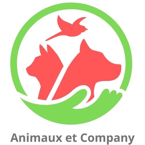 animaux de compagnie